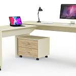 Угловой письменный стол для двоих Калифорния 9 BMS - Фото 2
