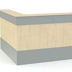 Ресепшен Рейна №14 BMS - Фото 4